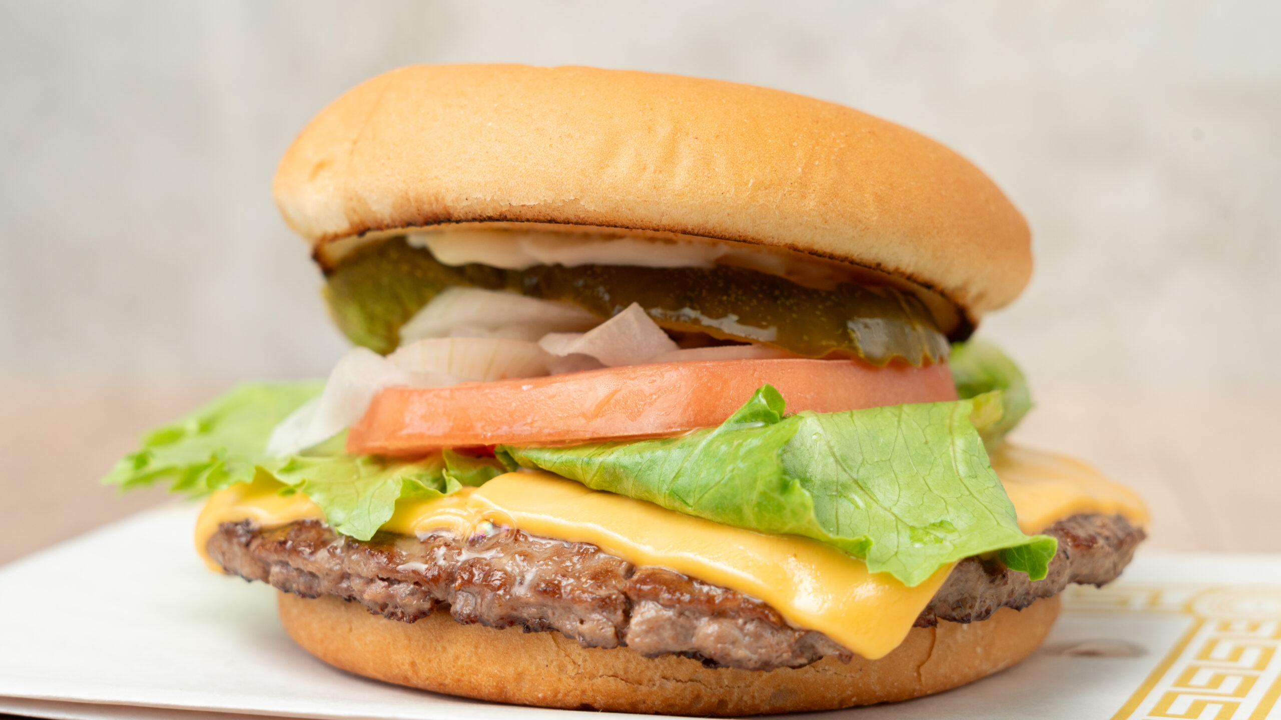 fresh juicy cheeseburger